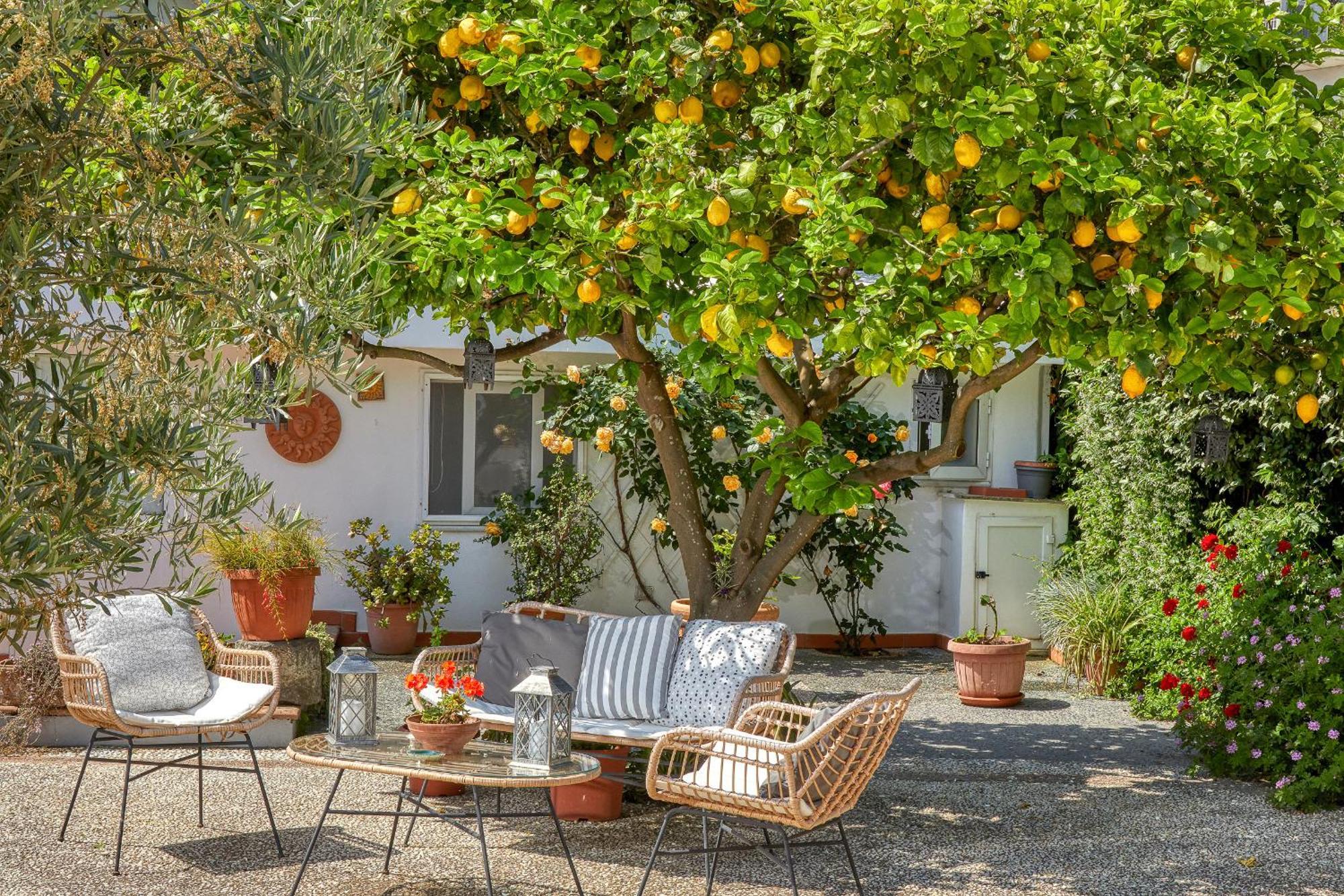 Bed & Breakfast Acquaviva 31 *